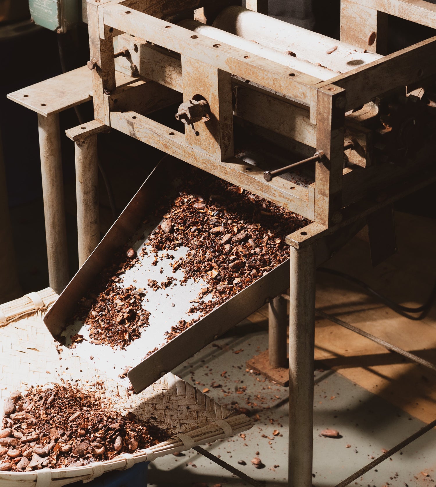 Cacao Tea! What's your take on it?