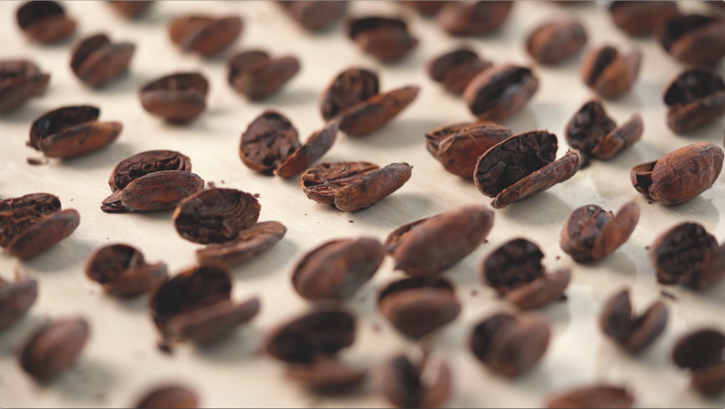 Cacao vs. Cocoa