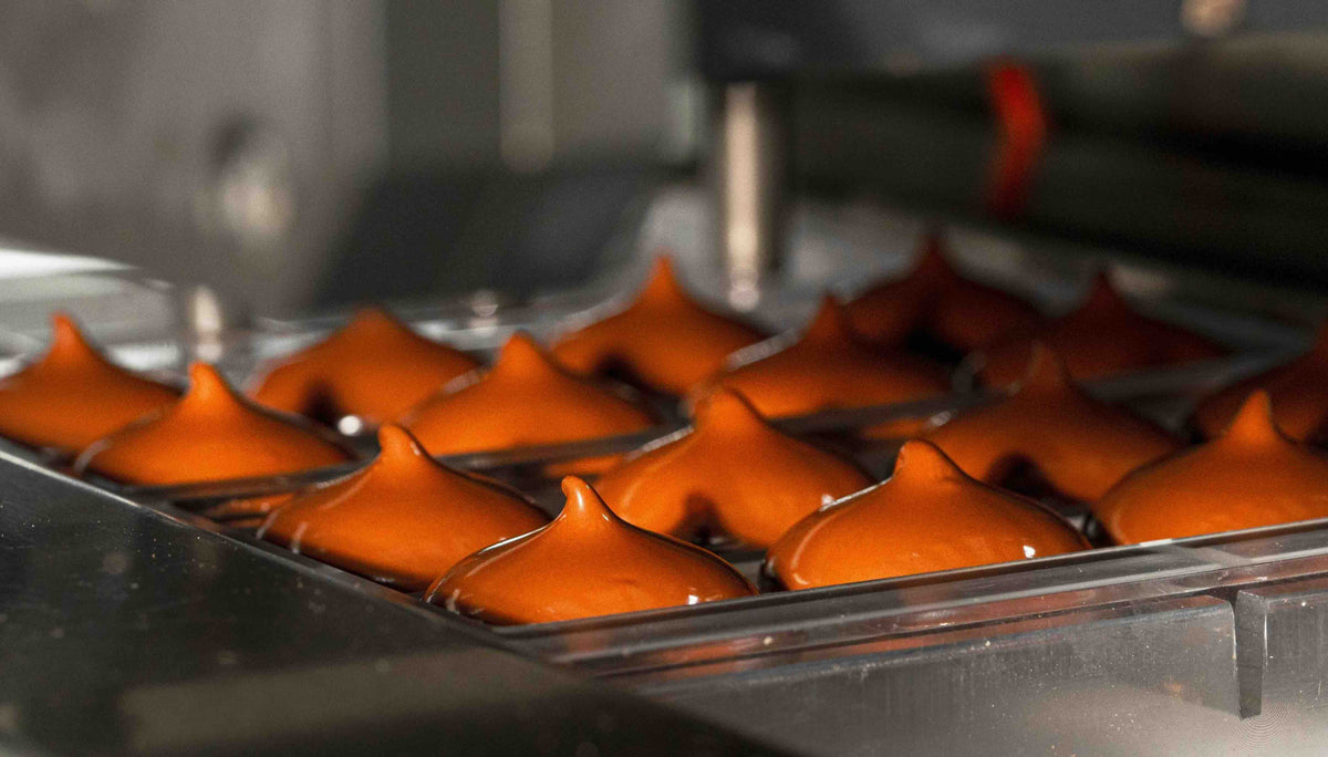 Pascati chocolate tour and workshop combo near Mumbai — bean-to-bar factory experience India